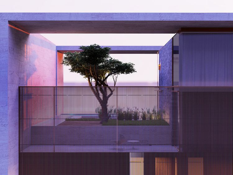 A villa on the Dubai Palm Jumeirah with a “1,600-year-old olive tree” sells for Dh128 million