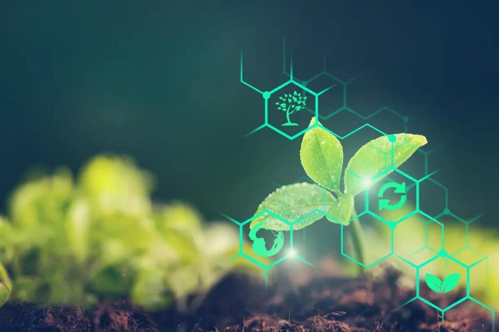 EDB Boosts Food Security with $27M AgriTech Loan Scheme