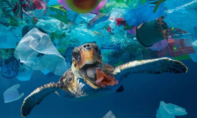 EU Commits €3.5B to Safeguard Ocean, Environment