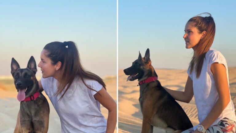 Summer Holidays in UAE: Pet Owners Spend Up to Dh3,750 on Pet-Sitting Services Summer Holidays in UAE: Pet Owners Spend Up to Dh3,750 on Pet-Sitting Services