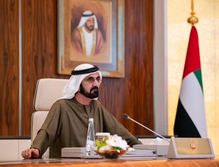 Artificial intelligence and fintech in UAE's digital economy