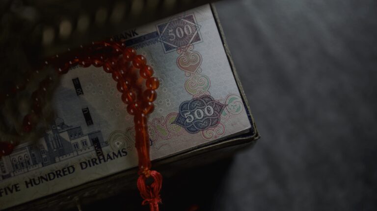 UAE launches Islamic finance, halal plan