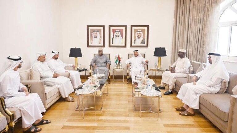 UAE Chambers boost Mali investments
