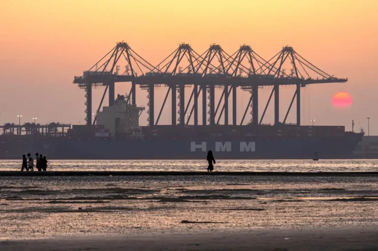 AD Ports Set to Develop New Bulk Cargo Terminal in Karachi