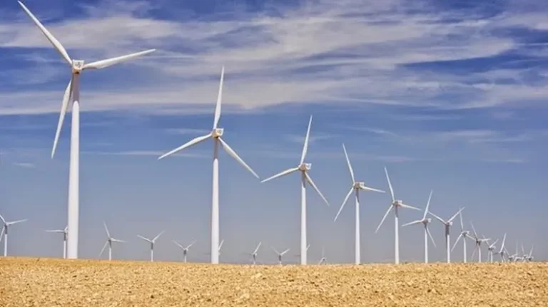 UAE Firm in Discussions to Acquire Egyptian Wind Farm